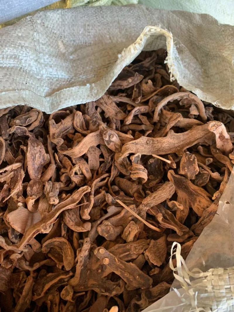 骨碎补纯野生岩石生货符合药典含量高大量供货欢迎咨询