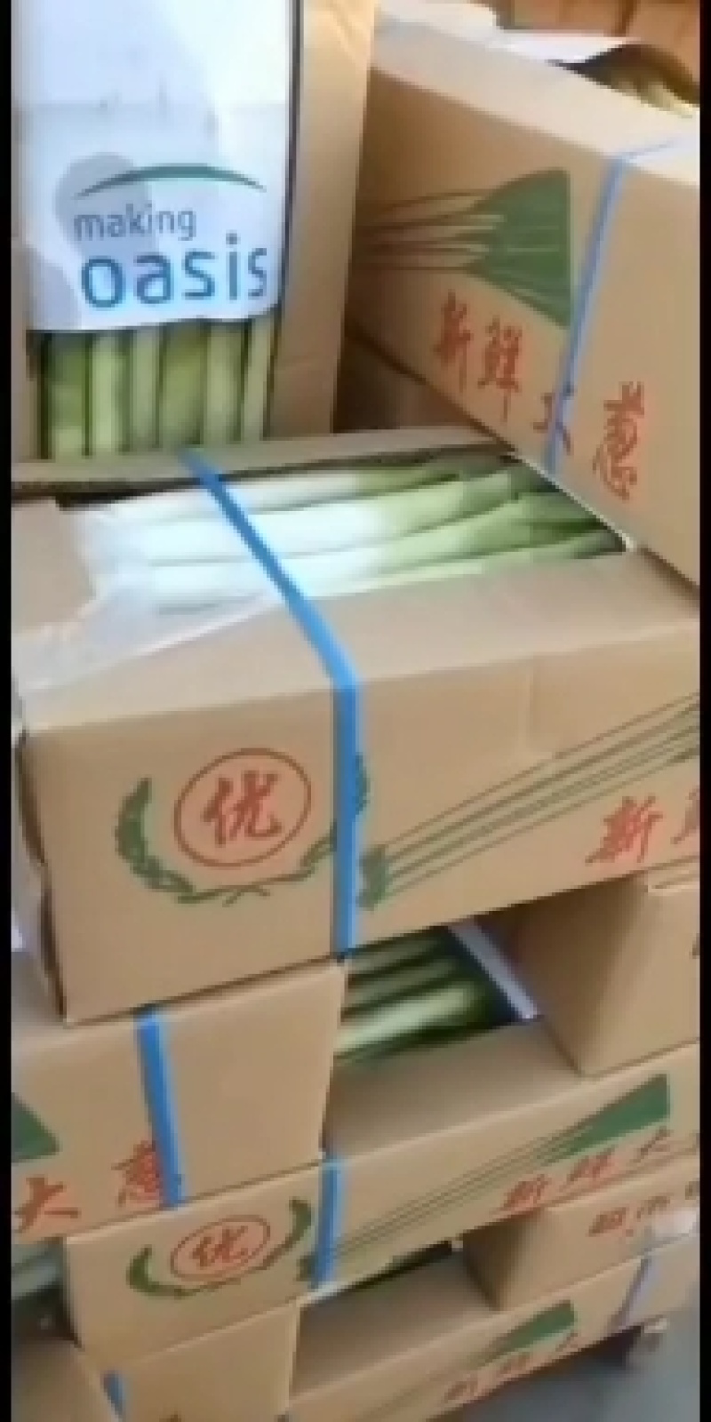福建刚葱严重滞销，有需要大葱速度联系，0.25