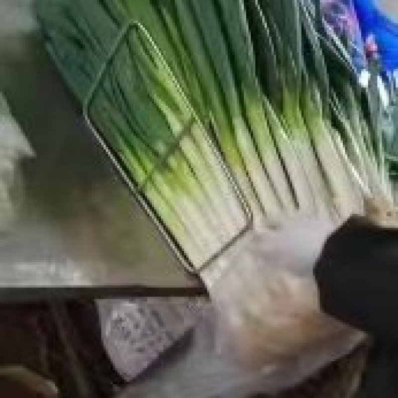 福建刚葱严重滞销，有需要大葱速度联系，0.25