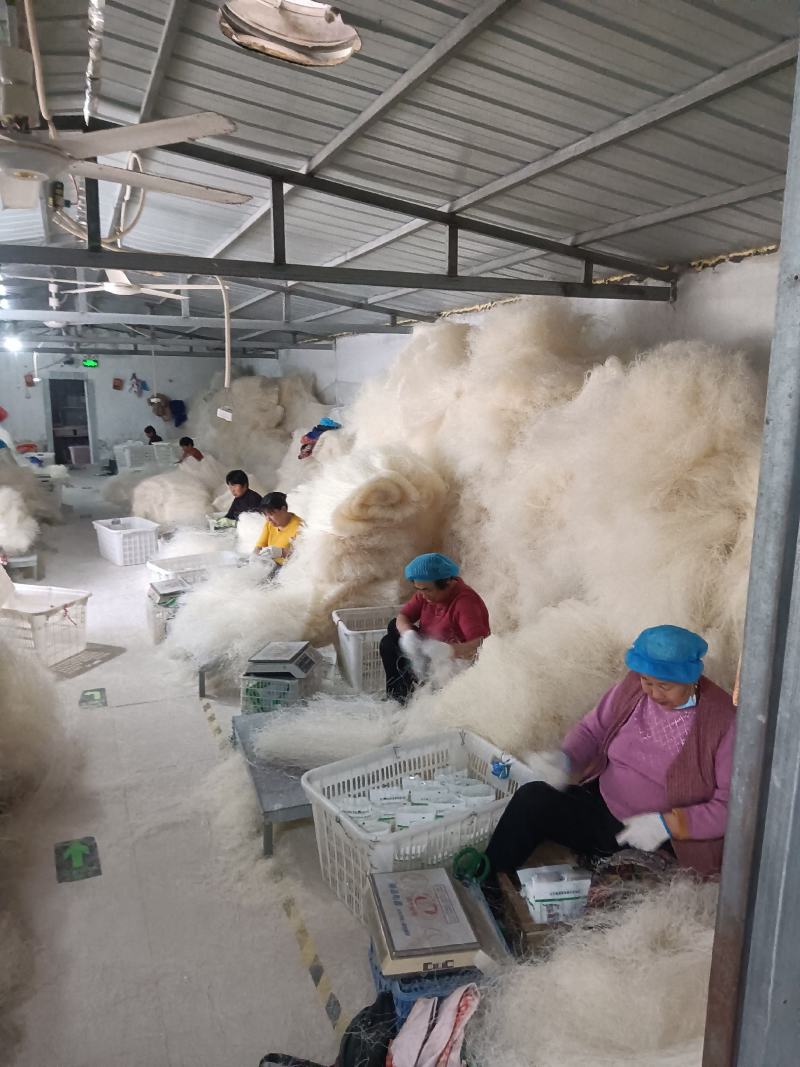 各种规格精品粉丝厂家发货供应各大市场商超电商