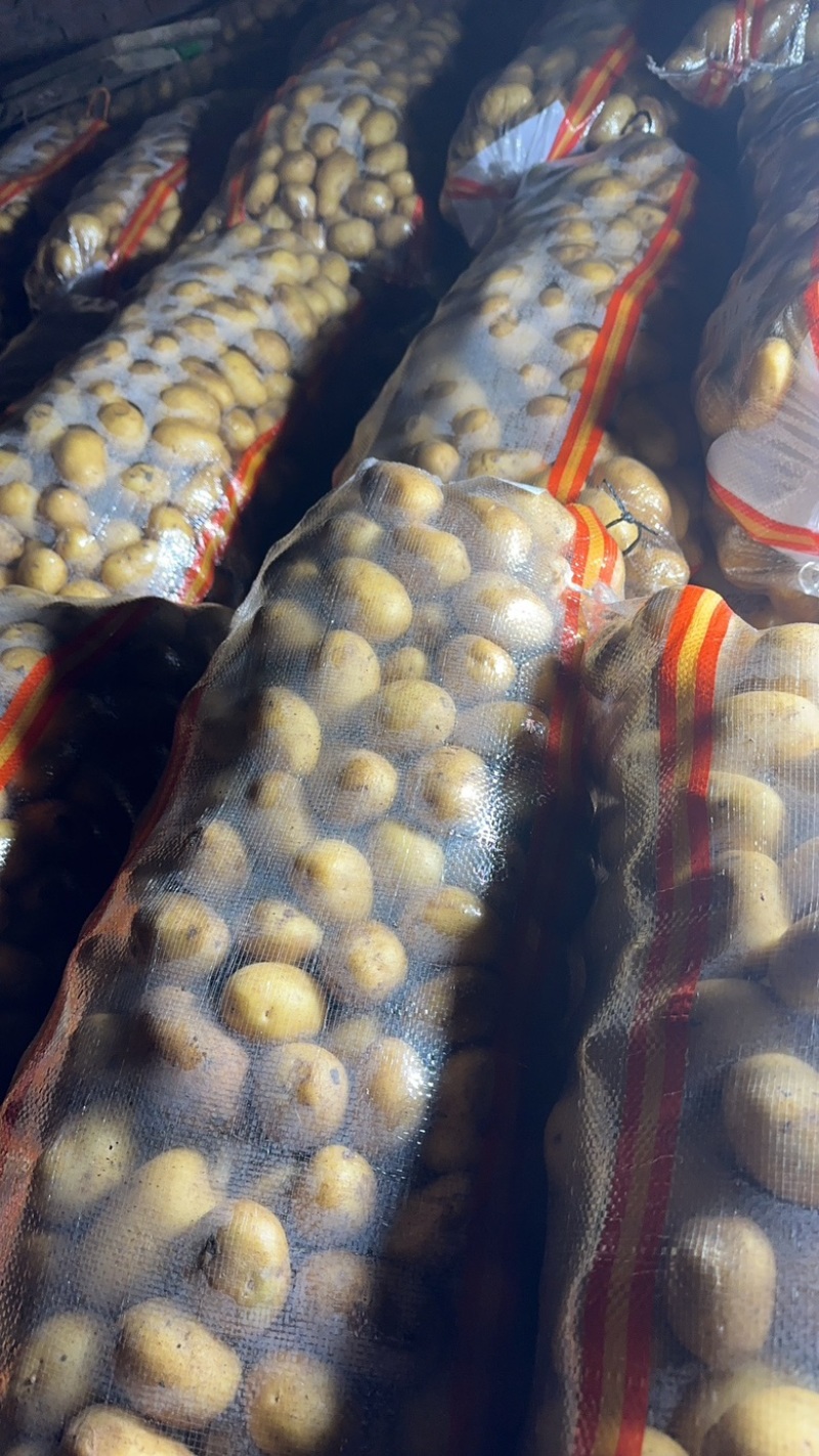 黄皮黄心精品电商货