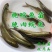 草鱼苗