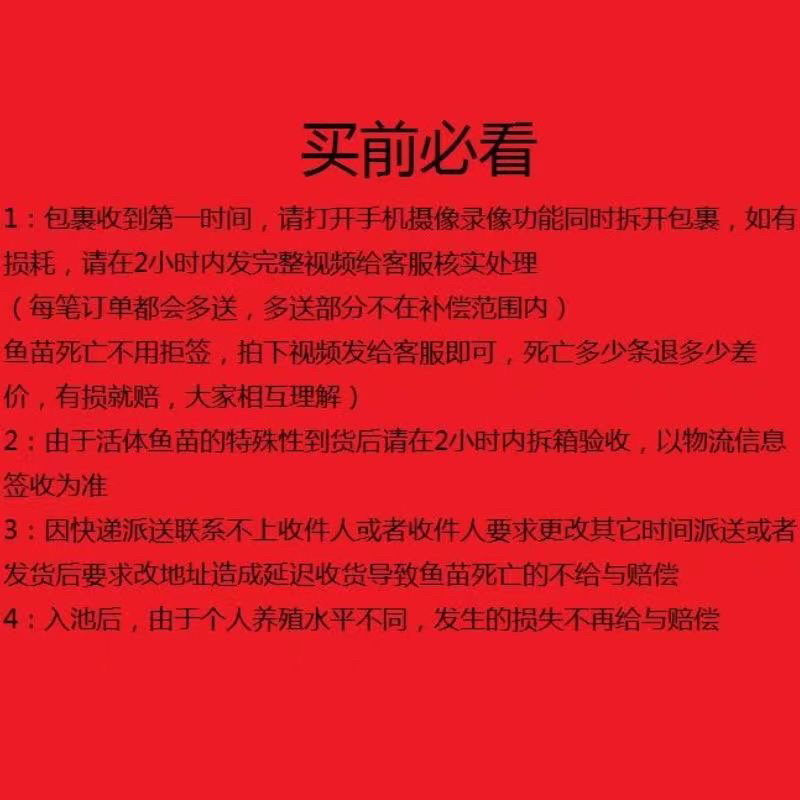 黄骨鱼苗