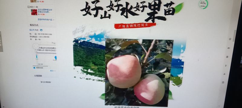 适合全国栽植的水蜜桃苹果树苗80cm以上