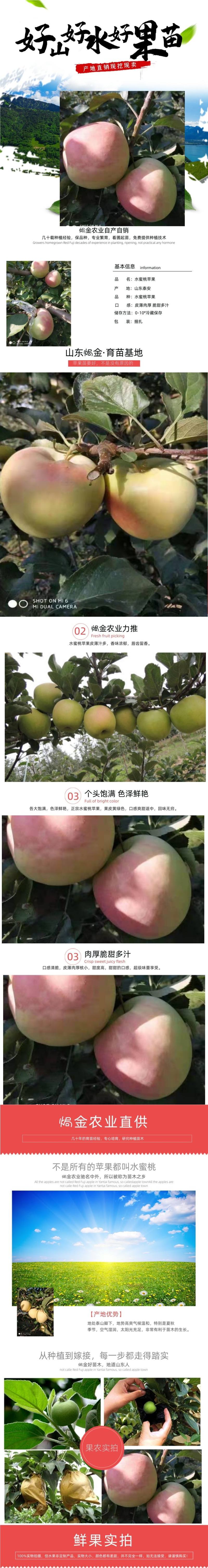 适合全国栽植的水蜜桃苹果树苗80cm以上