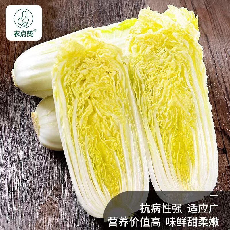 娃娃菜（好货）产地看货装货，口感鲜嫩欢迎来电订购