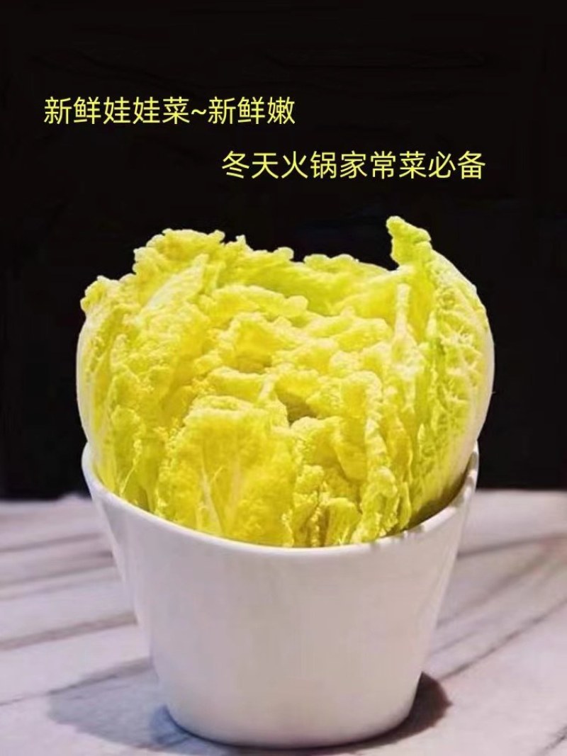 娃娃菜（好货）产地看货装货，口感鲜嫩欢迎来电订购