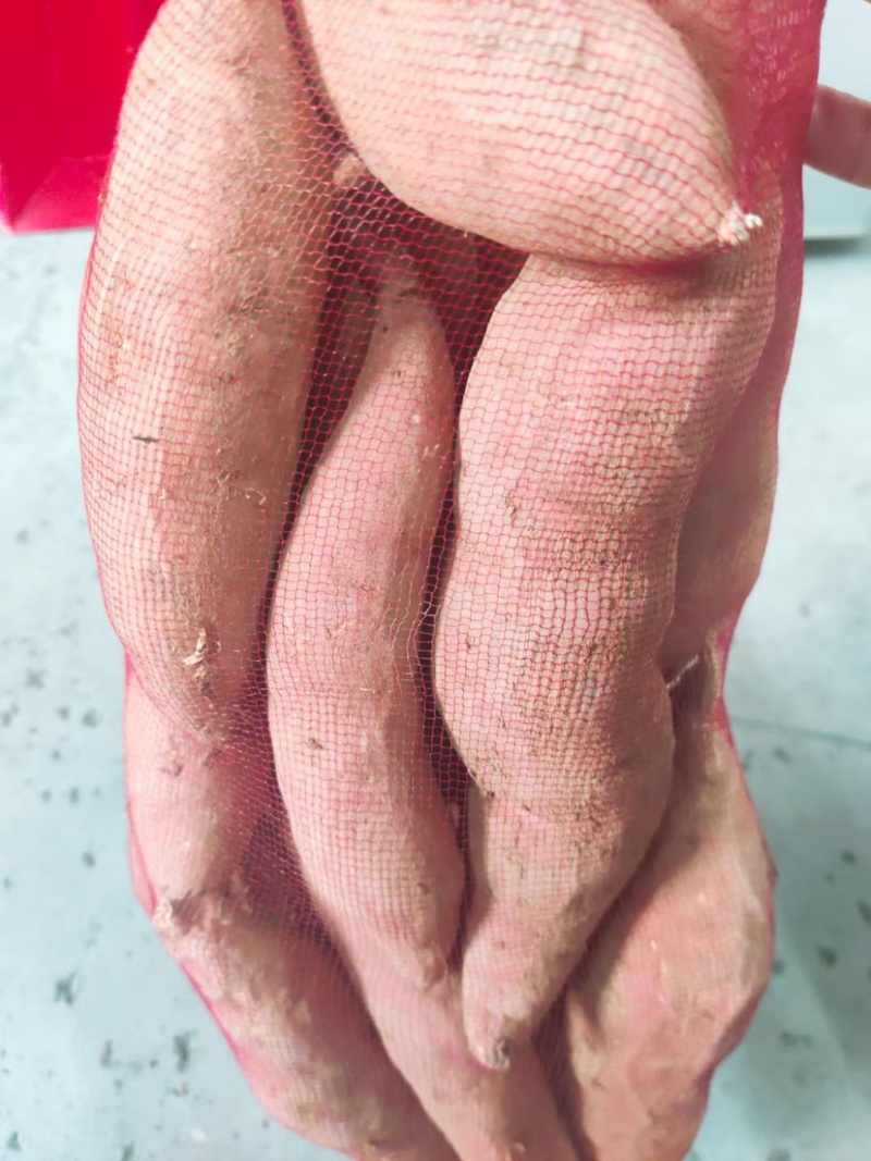 山东烟薯25糖心烟薯新鲜红薯农家自种一手货源批发价格
