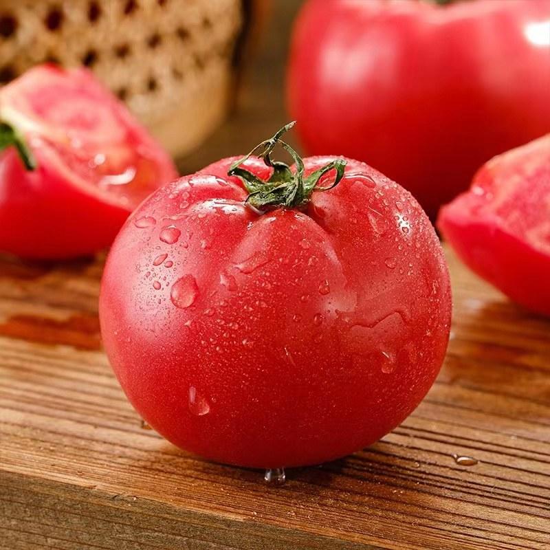 西红柿（好货）产地看货装货，口感很好，保质保量，欢迎来电