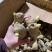 山东368高产姜种包发芽率包技术指导价格低