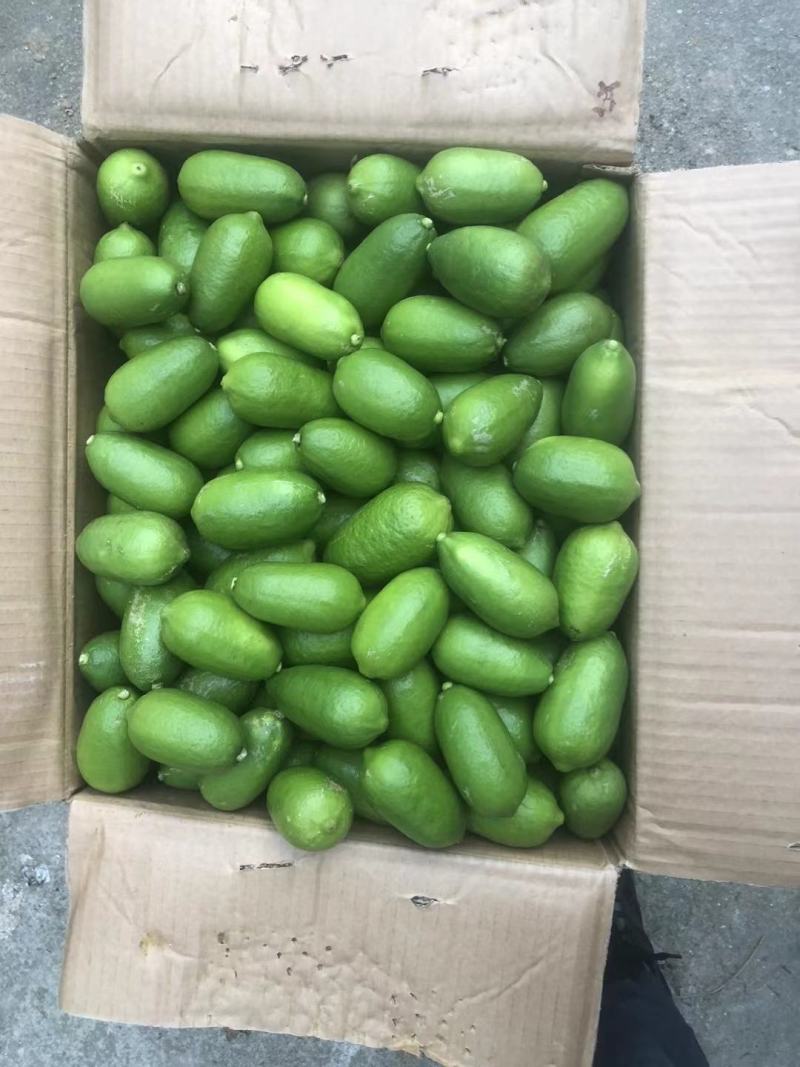 子弹头，香水柠檬，无籽柠檬