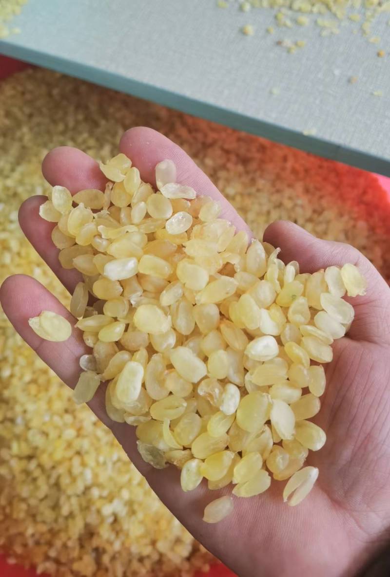皂角米雪莲子单荚双荚产地一手货源基地厂家直供大量现货批发