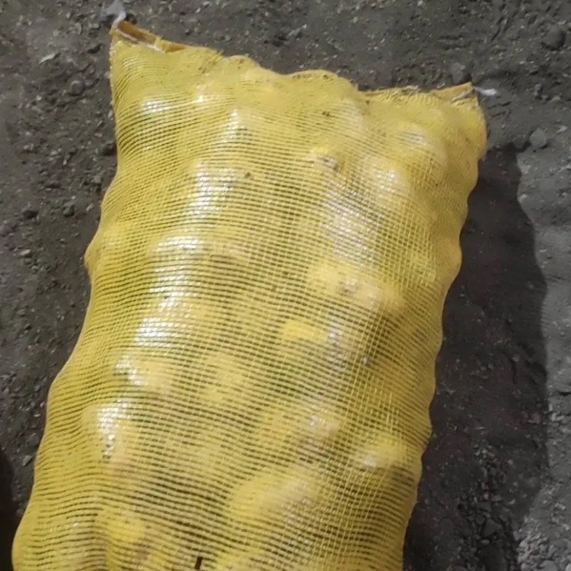 脱毒土豆种子荷兰十五土豆种子包发芽率包技术指导
