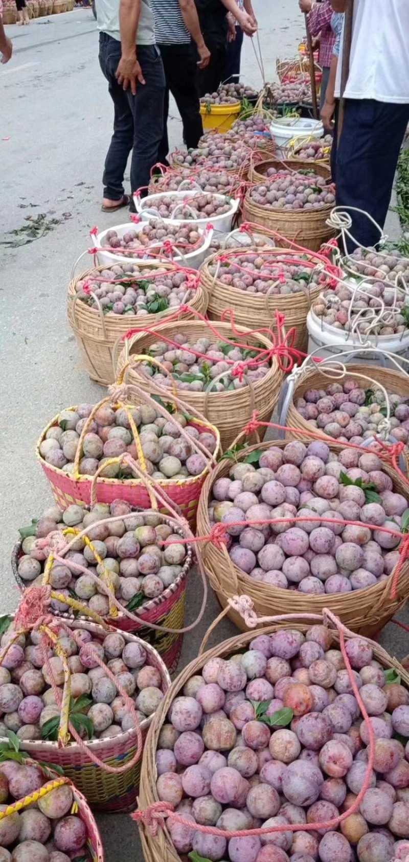 银妃三华李社区团购。超市供应电商代发网红带货