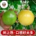 百香果苗