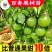 百香果苗