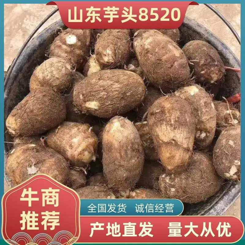 山东毛芋头，牛奶芋头，豆包，各种规格，视频看货