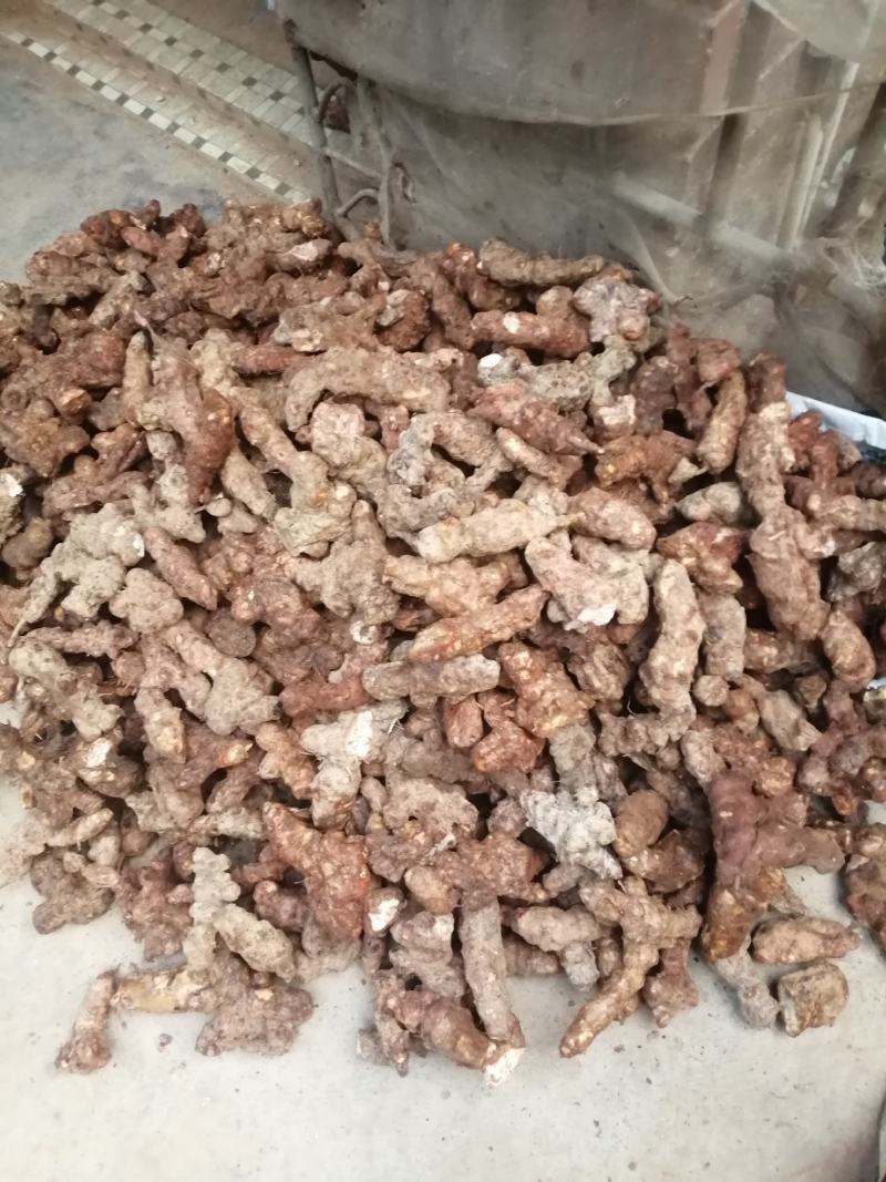 广东新鲜土茯苓本地土茯苓，粉质白肉