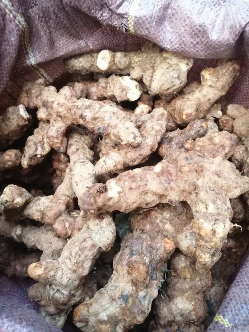 广东新鲜土茯苓本地土茯苓，粉质白肉