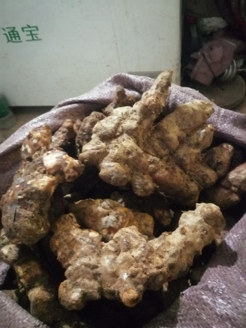 广东新鲜土茯苓本地土茯苓，粉质白肉