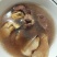 广东新鲜土茯苓本地土茯苓，粉质白肉