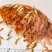 红鲤鱼苗观赏鱼可观赏可食用淡水养殖