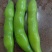 大白蚕豆，小蚕豆