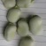 大白蚕豆，小蚕豆