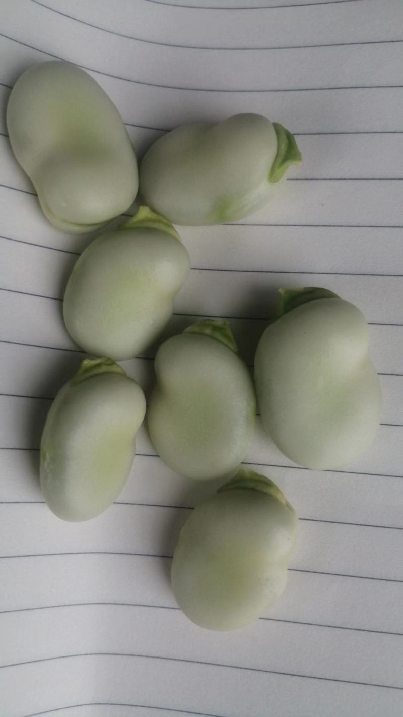 大白蚕豆，小蚕豆