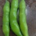 大白蚕豆，小蚕豆