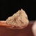 苍术粉中药材苍术炒苍术粉正宗野生超细粉优质选材质量保
