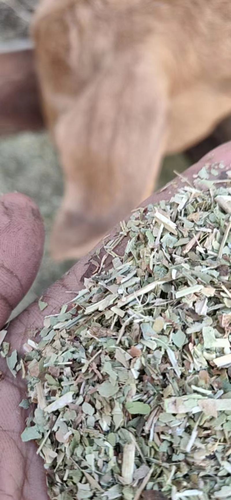 【优选商家】优质草粉产地大量批发质量保证可视频看货