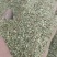 【优选商家】优质草粉产地大量批发质量保证可视频看货