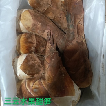 甜笋水果甜笋碧玉甜笋