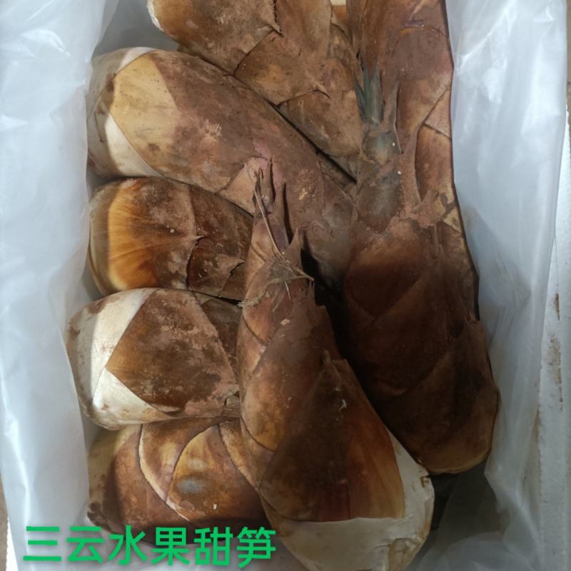 甜笋水果甜笋碧玉甜笋