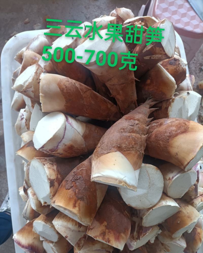 甜笋水果甜笋碧玉甜笋