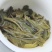 批发昔归黄金条300g/条