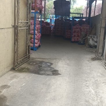 大蒜，代加工，代收购，代办。山东省临沂市平邑县全财蒜业