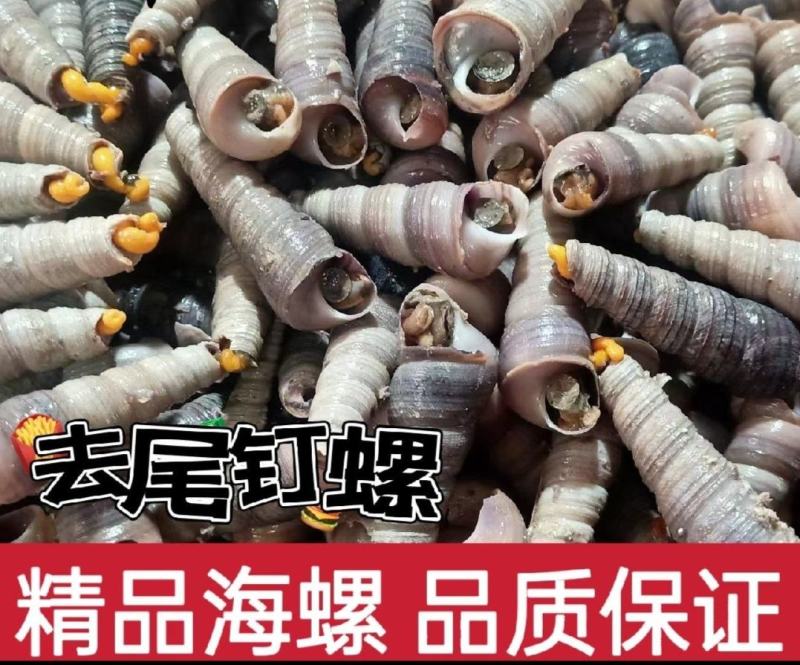 去尾钉螺