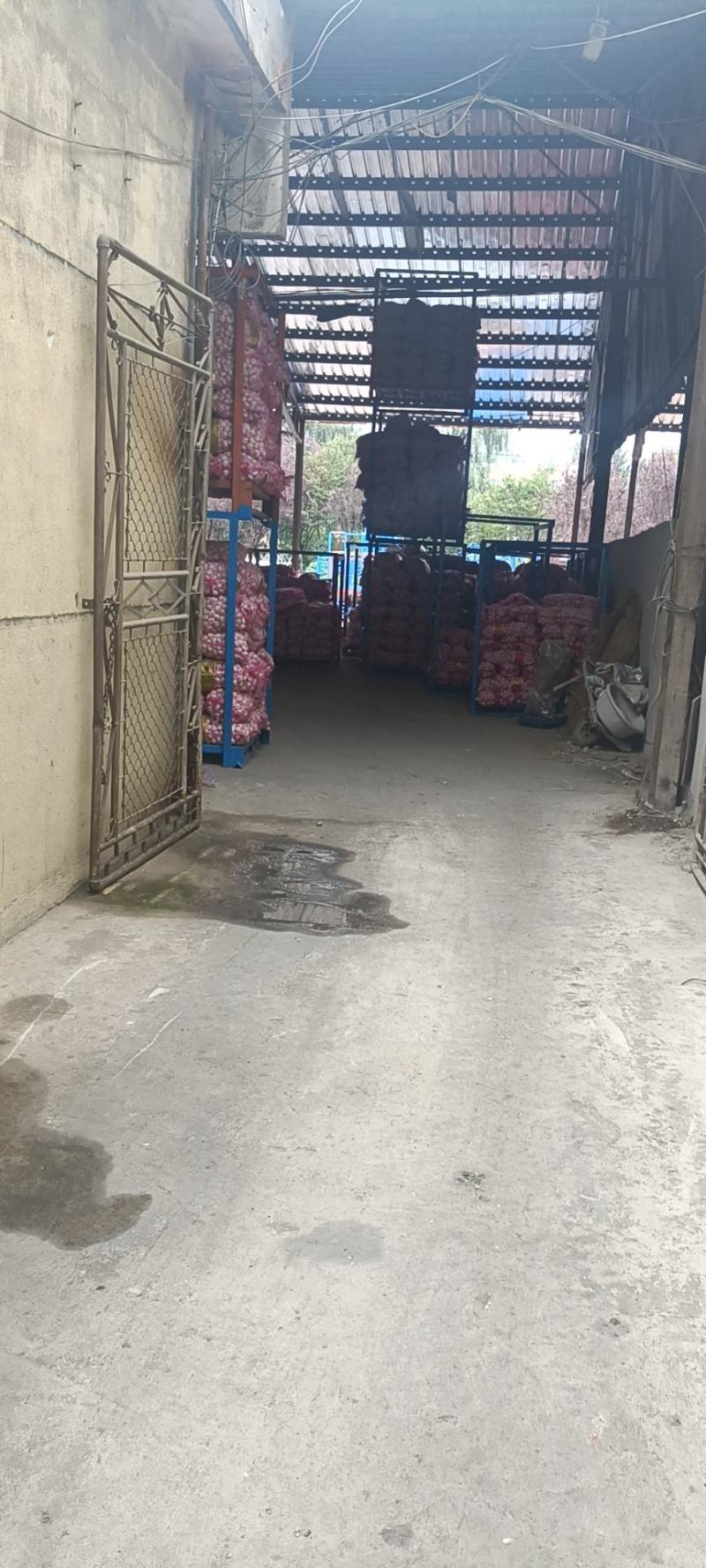 大蒜代收购，电商代加工。全财蒜业欢迎实地考察洽谈业务。