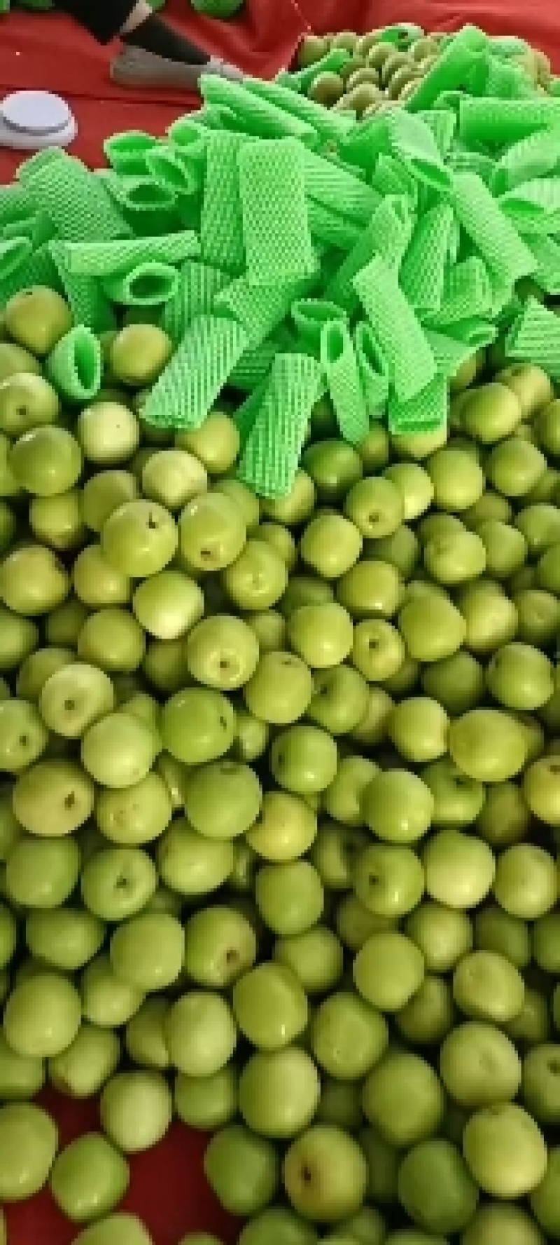 西双版纳精品苹果枣，