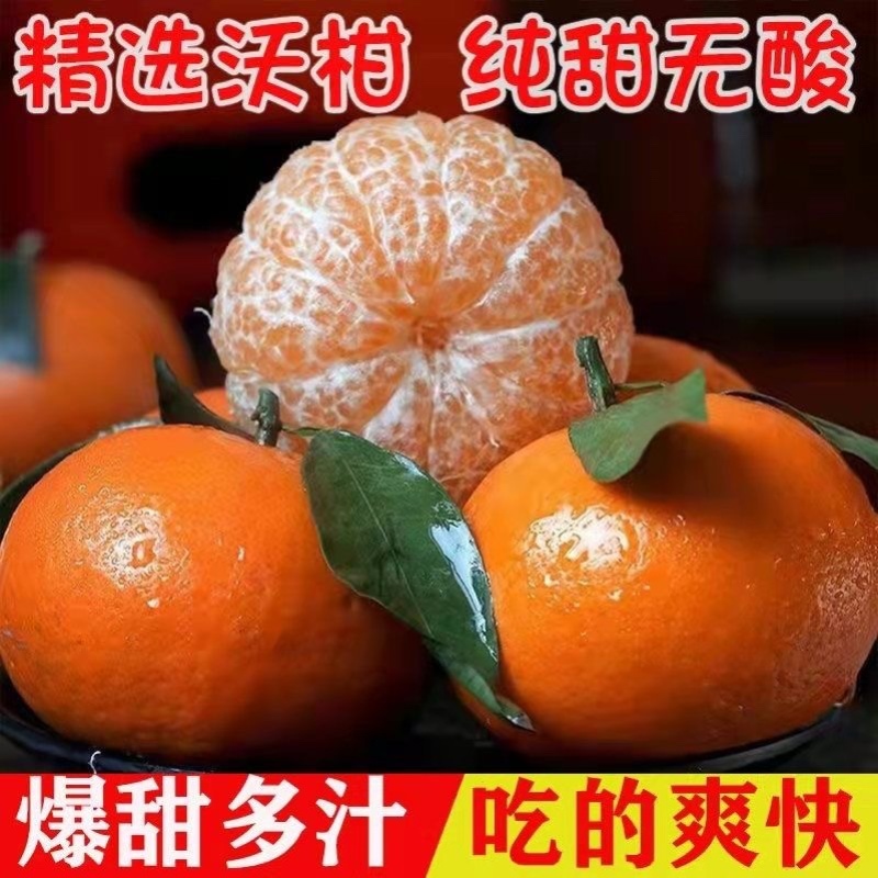 贵州农家沃柑小果便宜处理