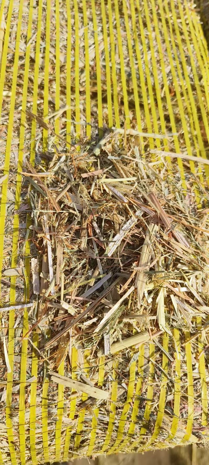 玉米秸秆压块，谷草，草球