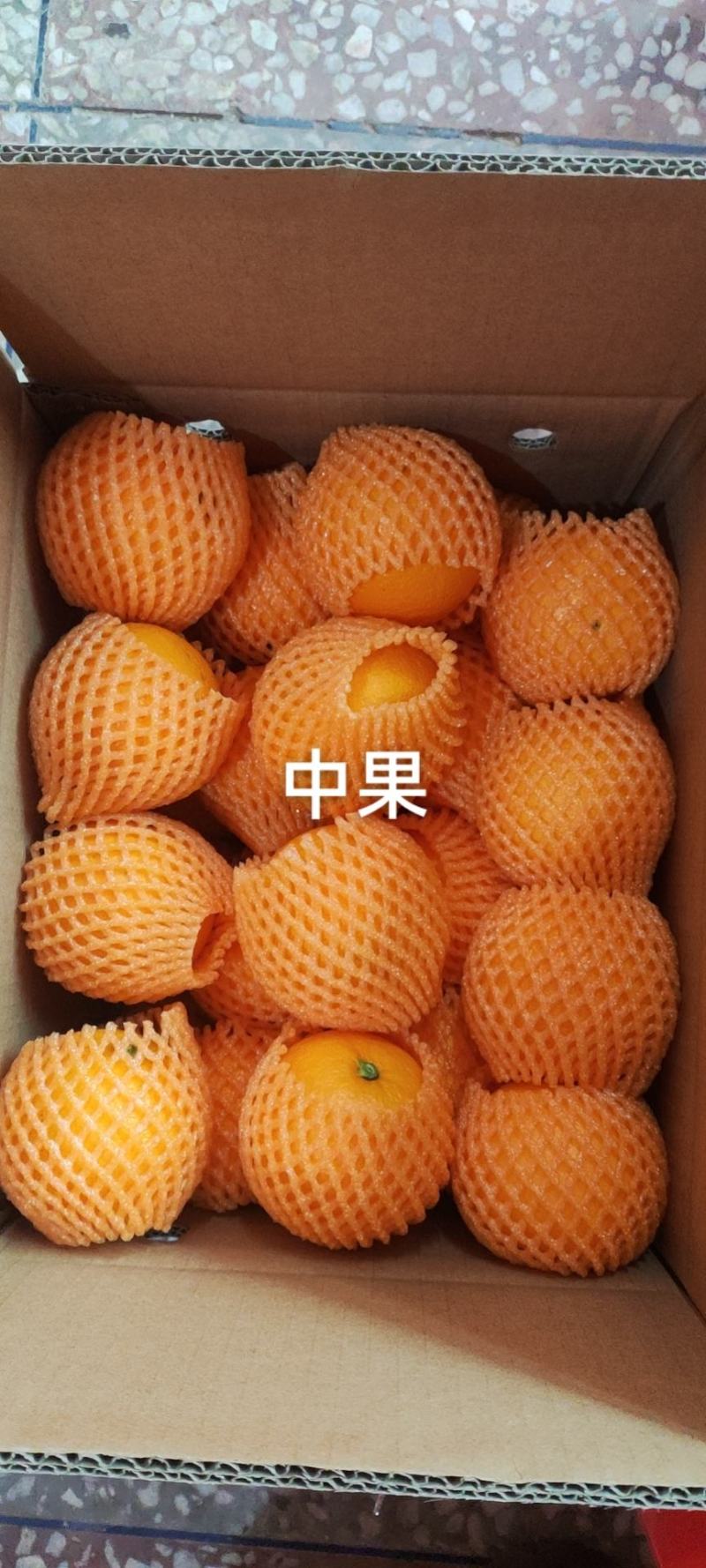 湖北伦晚橙，皮薄汁多，现在大量上市了，可产地看货