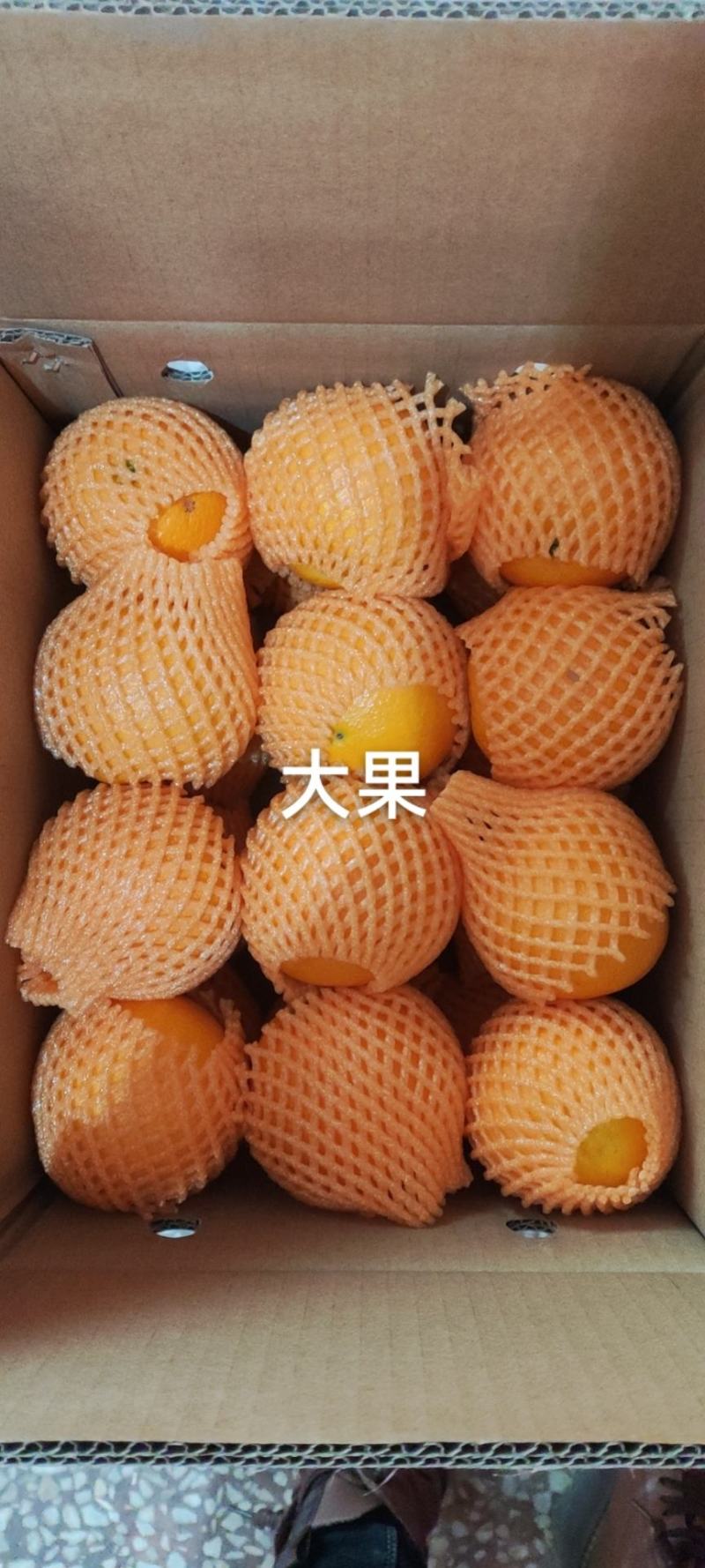湖北伦晚橙，皮薄汁多，现在大量上市了，可产地看货