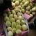 锦州京密甜瓜大量上市，辽宁省大棚香瓜主产区，全国供货！