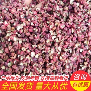 大红袍花椒/花椒/产地直发品质好需要的老板电话联系