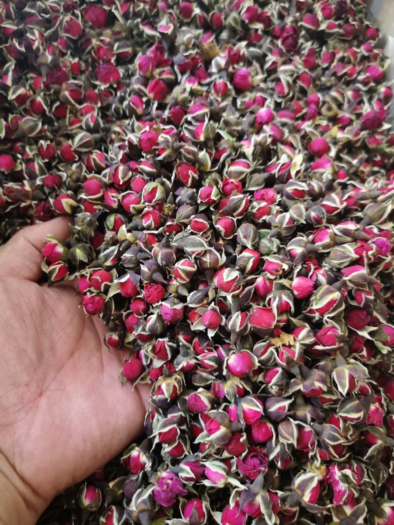金边玫瑰云南金边玫瑰花茶金边花冠金边花蕾