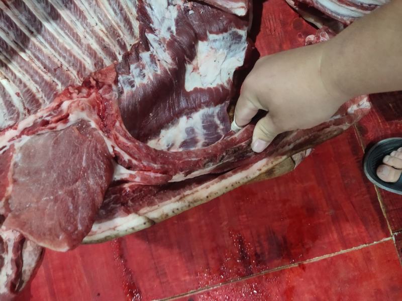 深山放养山猪肉土猪肉批发生鲜店饭店酒楼土特产