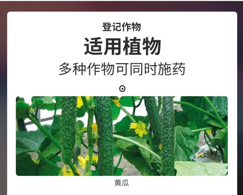 烟慕钻10%异丙威蚜虫白粉虱蓟马杀虫烟剂烟雾剂